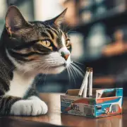 好猫香烟的价格是多少呢？
