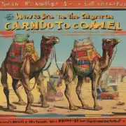 五彩骆驼香烟价格怎么样？五彩骆马龙卷风是什么味道的？