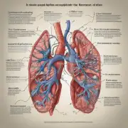 除了呼吸系统外还有哪些身体部位可能会受到伤害并受到影响？