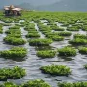 有哪些种不同的茶叶在勐海生产呢？