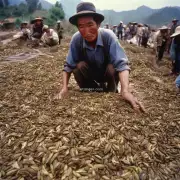 九五年时的云南省内烟草市场中玉溪卷的价格是多少？
