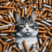 为什么很多人喜欢好猫香烟而不是其他品牌的烟草产品？