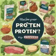 如果你想要增加你的蛋白质摄入量而不想吃太多肉类食品怎么办？是否有任何植物性蛋白来源值得尝试？
