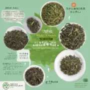 仙毫是一种非常受欢迎的绿茶品种吗？