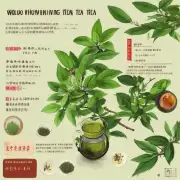 乌龙茶有何特征及其与其他类型比较的好处坏处呢？