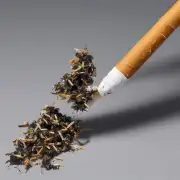 关于细支香烟这个词语在中文中的含义是什么呢？它与其他种类的香烟有何区别或是相似之处呢？