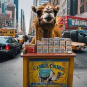在纽约市购买一支骆驼牌香烟的价格是多少？