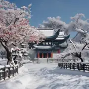 碧潭飘雪与中国文化有何关联性呢？是否有某种特殊的象征意义或历史渊源呢？