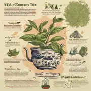 什么是茶叶在化学上呢？它有哪些成分组成了它的味道香气以及其他特性？