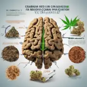 烟草中的尼古丁是一种很强烈的大麻素类物质你是否了解过大麻素对大脑的影响和成瘾性？