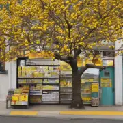 黄果树香烟在哪些地方有售呢？