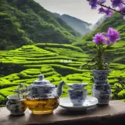 在武夷山脉上种植哪些茶叶?