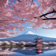 对于想在樱花季节前往日本富士山赏花的人来说有哪些最佳观赏点呢?
