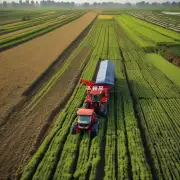 为什么中国农业生产率低且种植结构单一?
