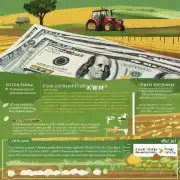 如何提高农民的收入水平?
