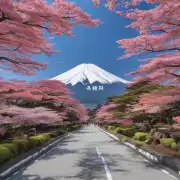如果想要在日本进行富士山攀登活动需要提前办理哪些手续呢?