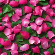 为什么一些传统的中药材使用玫瑰花瓣作为主要成分时呢?