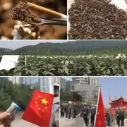 中国烟草行业未来发展计划是什么?