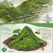 您认为福建省有哪些茶叶品种?