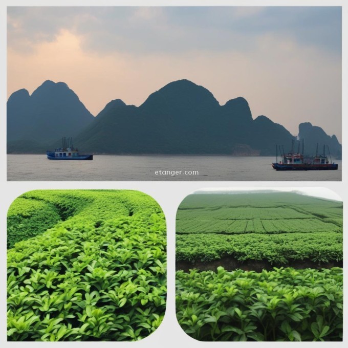 勐海与中国的其他著名茶叶产地相比较如何？