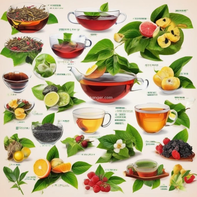 如何区分不同品种的茶叶与它们所产的果实？